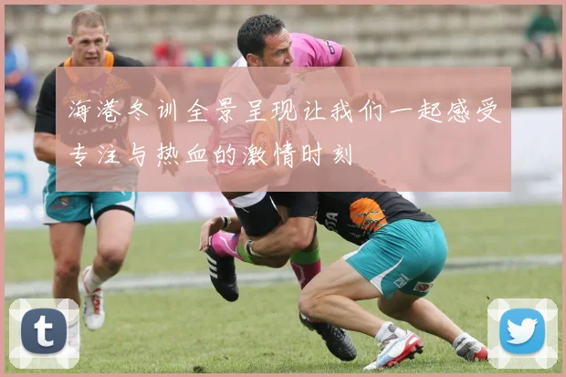 海港冬训全景呈现让我们一起感受专注与热血的激情时刻